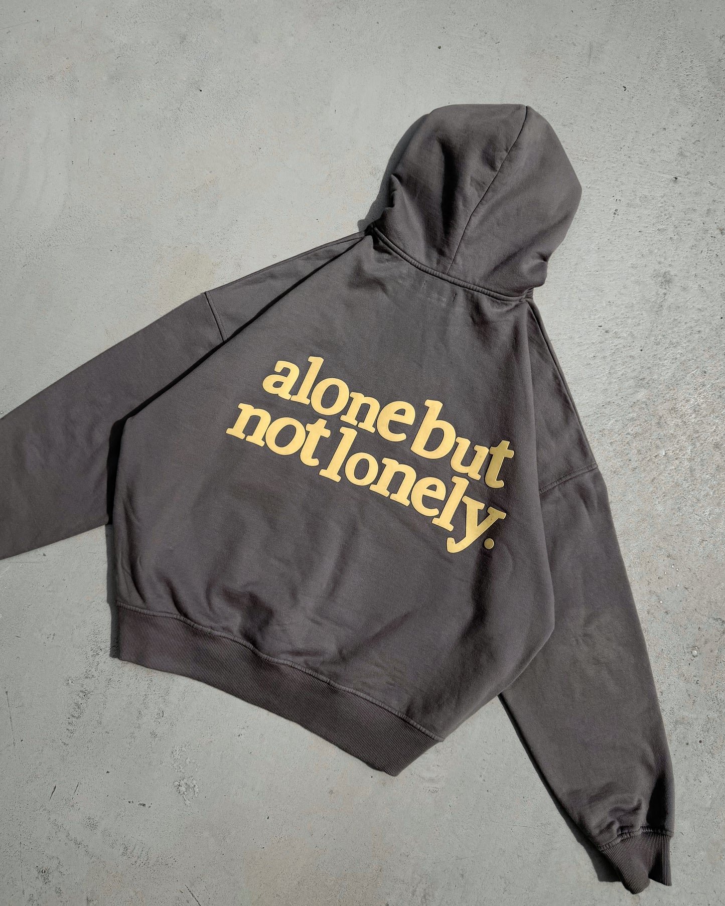 NOT LONELY TAUPE HOODIE